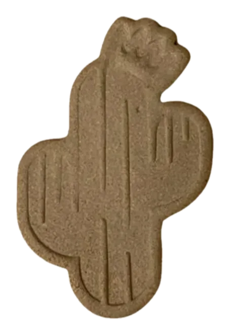 Adorno Cacto
