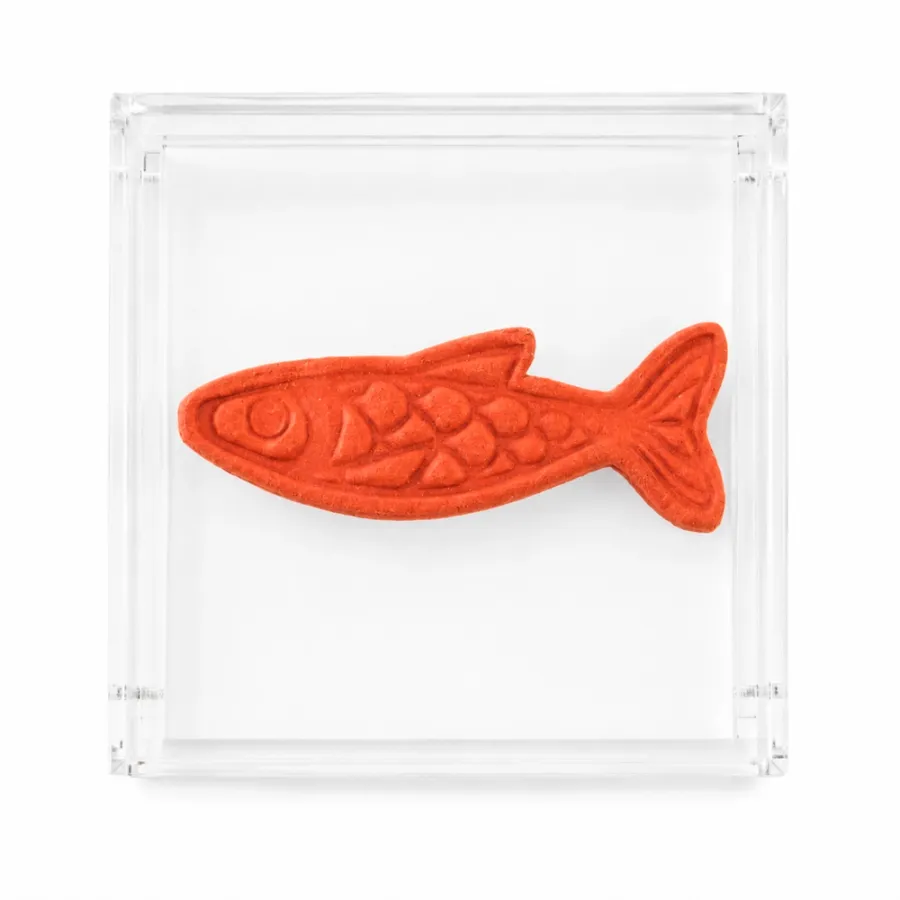 Caixa de Acrílico Peixe