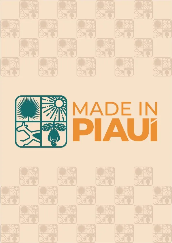 Made in Piauí